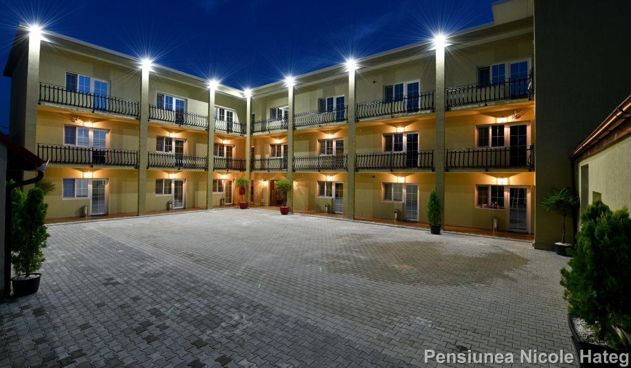 فندق Haţegفي  Vila Nicole المظهر الخارجي الصورة