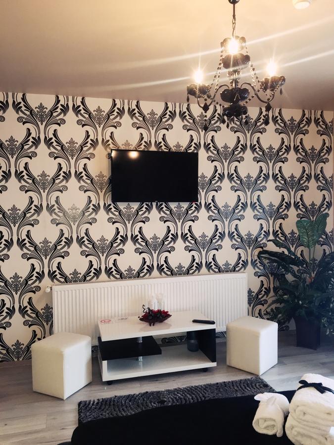 فندق Haţegفي  Vila Nicole المظهر الخارجي الصورة